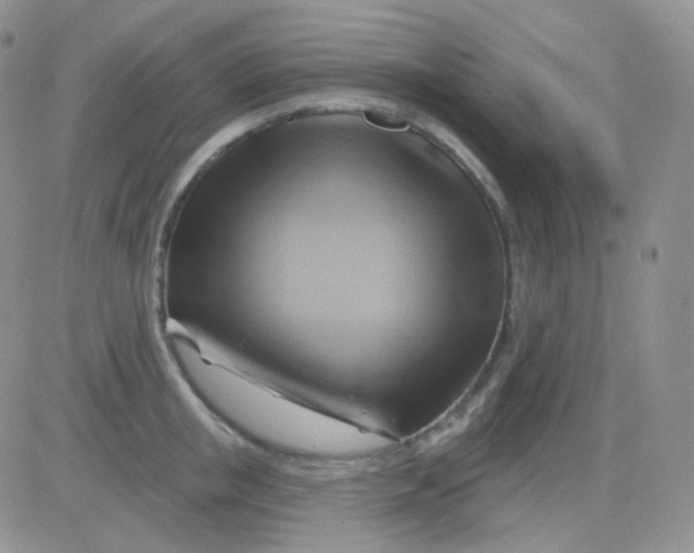 X0000083040853200702231928