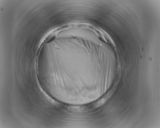 X0000083040855200702231928