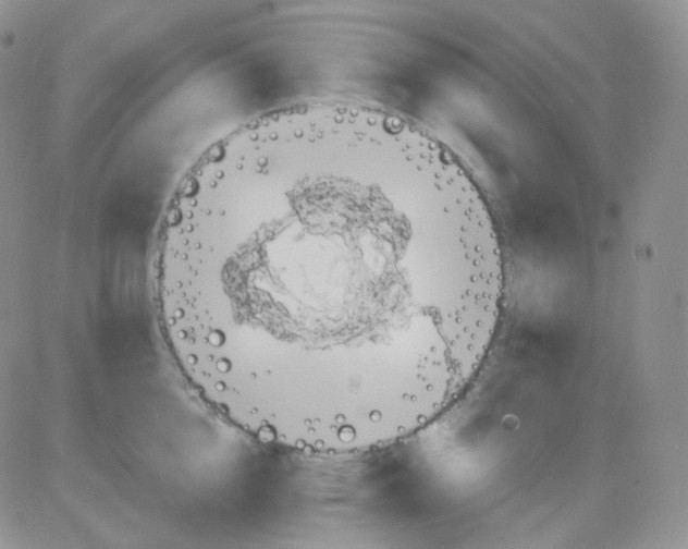 X0000083040856200702231928