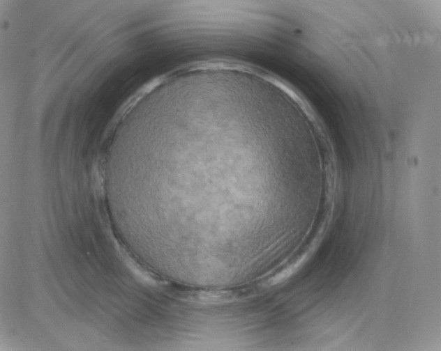 X0000083040857200702231928