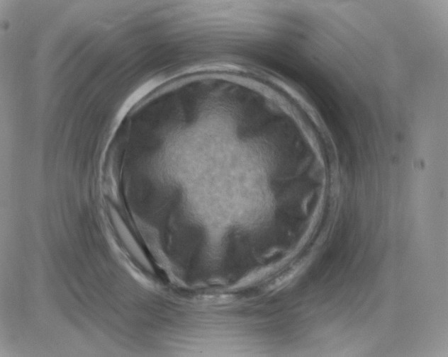 X0000083040858200702231928