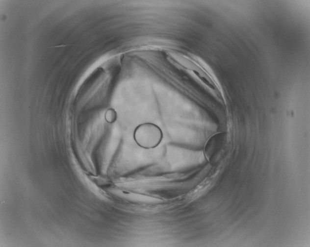 X0000083040859200702231928