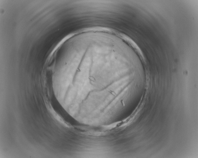 X0000083040860200702231928