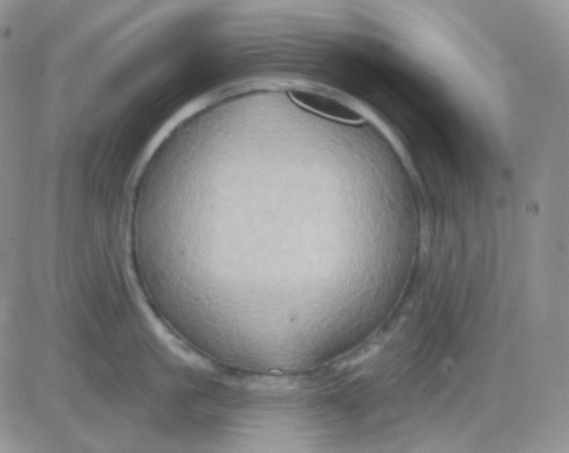 X0000083040861200702231928