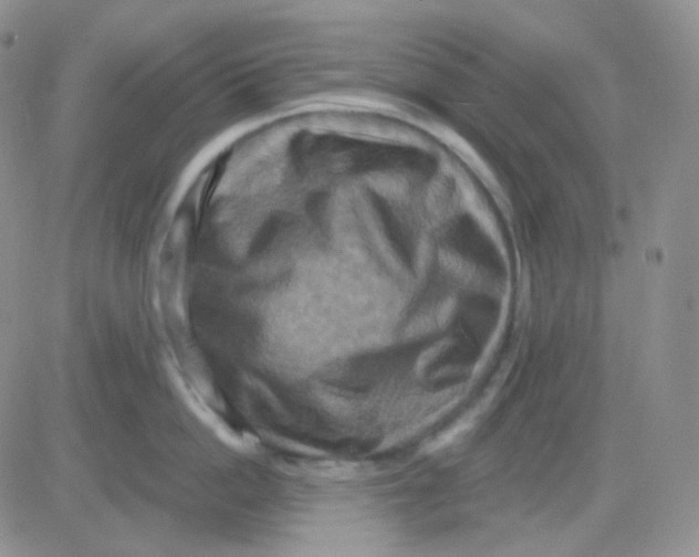 X0000083040862200702231928