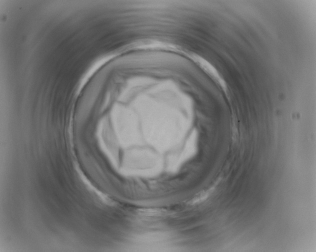 X0000083040863200702231928