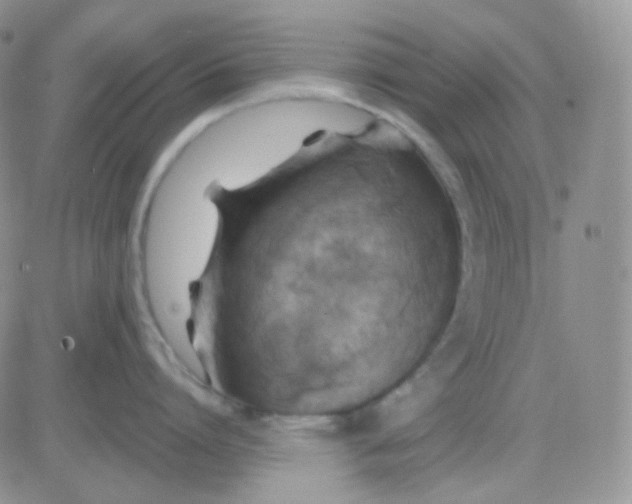 X0000083040864200702231928