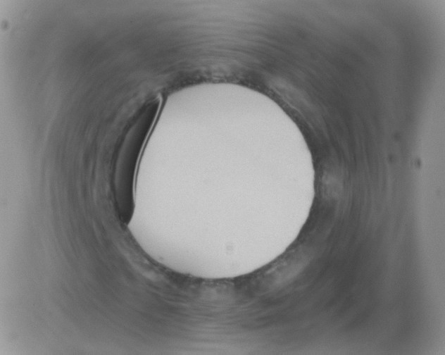 X0000083040865200702231927