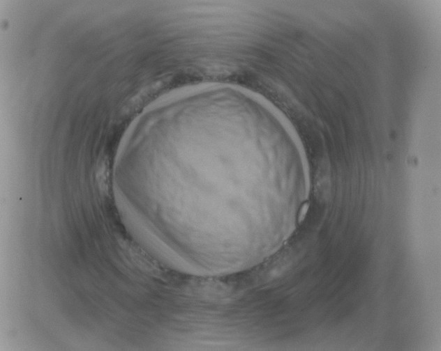 X0000083040866200702231927