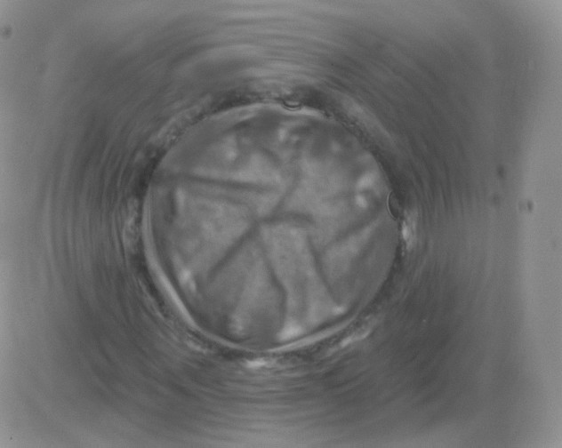 X0000083040867200702231927