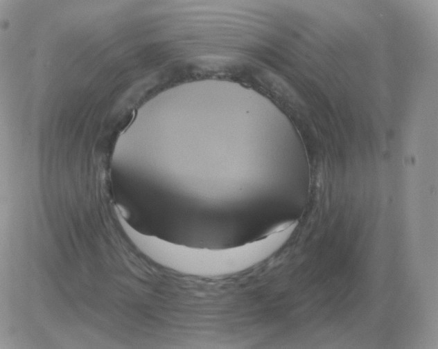 X0000083040868200702231927