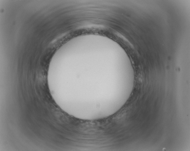 X0000083040869200702231927