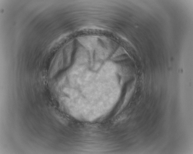 X0000083040870200702231927