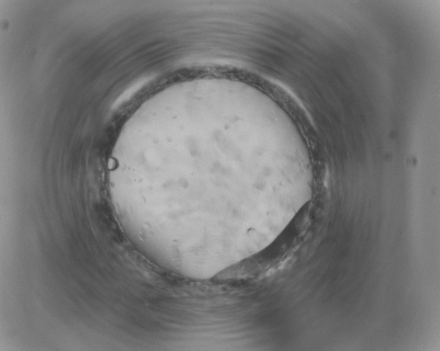 X0000083040871200702231927