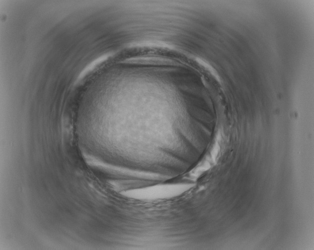 X0000083040872200702231927