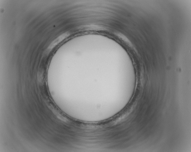 X0000083040873200702231927