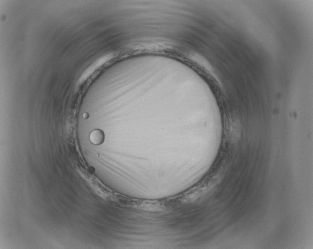 X0000083040874200702231927