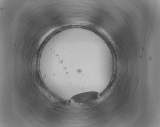 X0000083040875200702231927