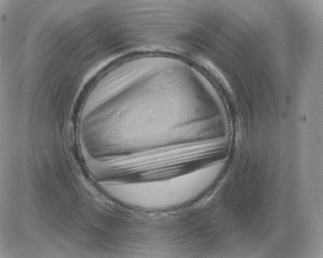 X0000083040876200702231927