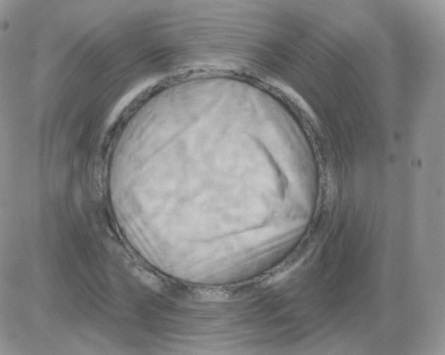 X0000083040878200702231927