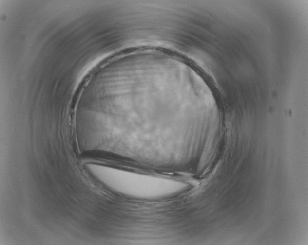 X0000083040879200702231927