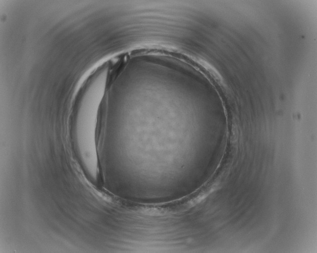 X0000083040880200702231927