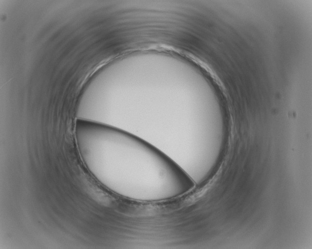 X0000083040881200702231927