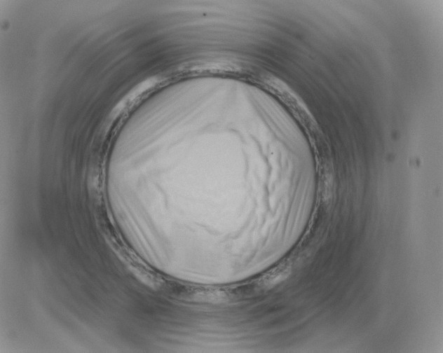 X0000083040882200702231927