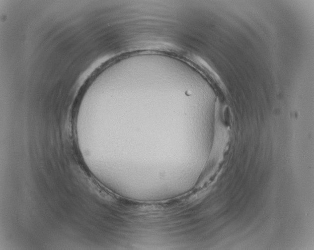 X0000083040883200702231927