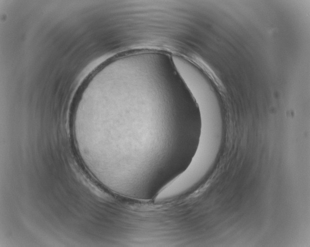 X0000083040884200702231927