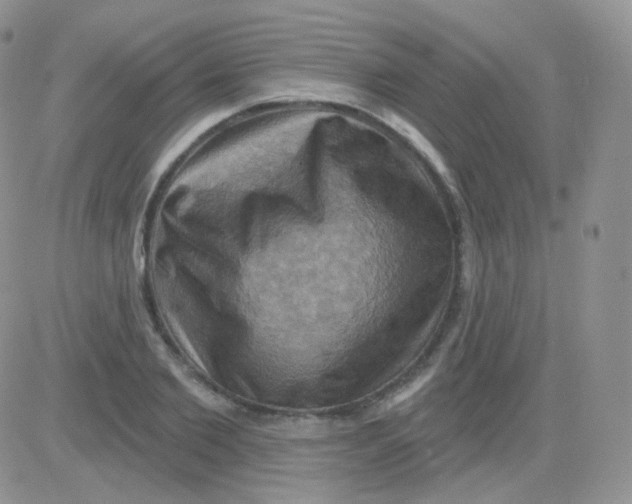 X0000083040885200702231927