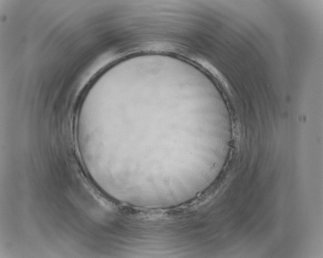 X0000083040886200702231927