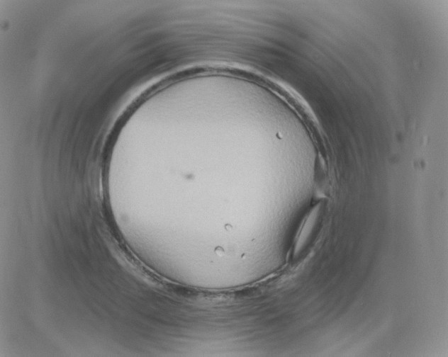 X0000083040887200702231927