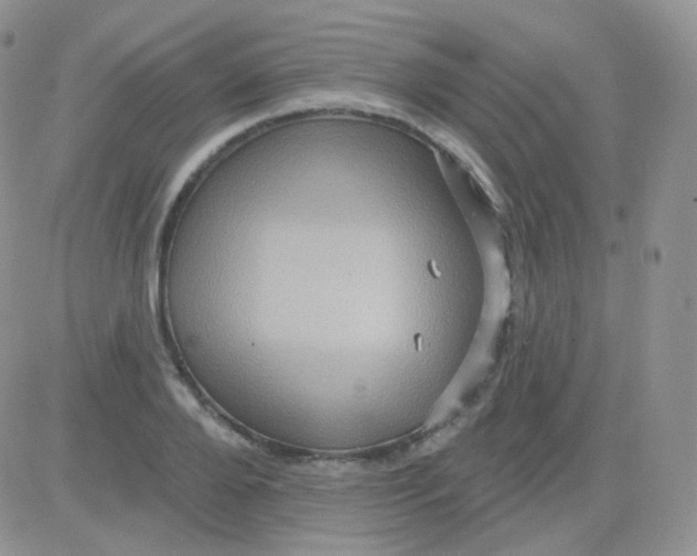 X0000083040888200702231927