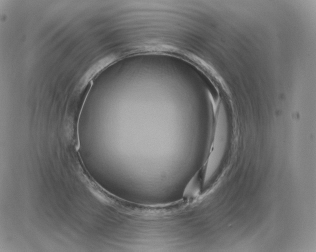 X0000083040889200702231927