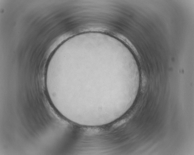 X0000083040890200702231927