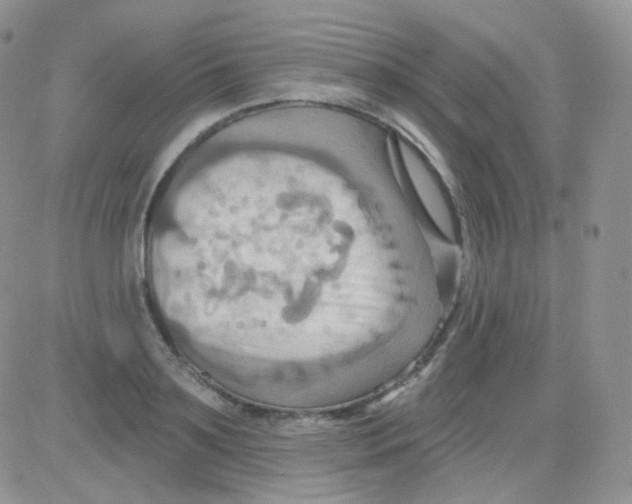 X0000083040891200702231927