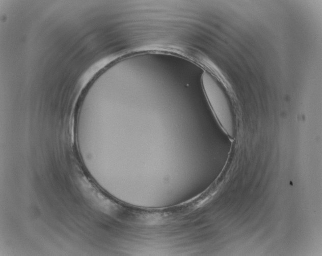 X0000083040892200702231927