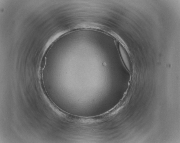 X0000083040893200702231927