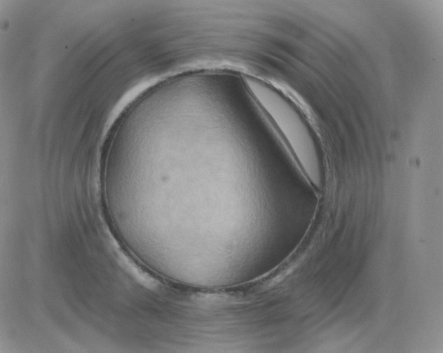 X0000083040894200702231927