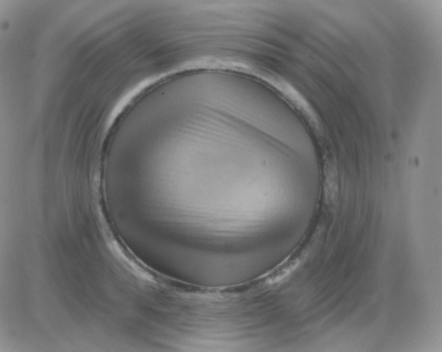 X0000083040896200702231927