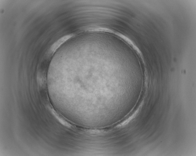 X0000083040897200702231927