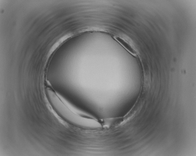 X0000083040898200702231927