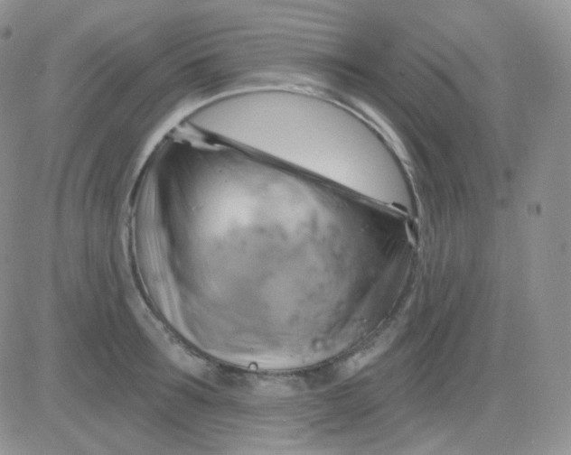 X0000083040899200702231927