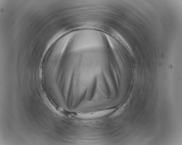 X0000083040900200702231926