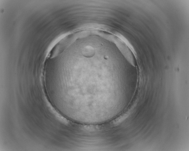 X0000083040901200702231926