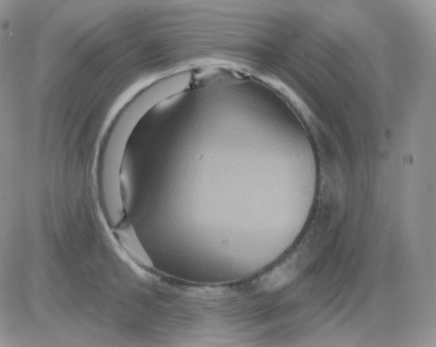 X0000083040902200702231926