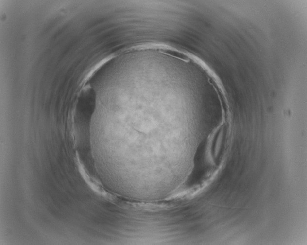 X0000083040905200702231926