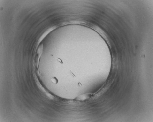 X0000083040906200702231926