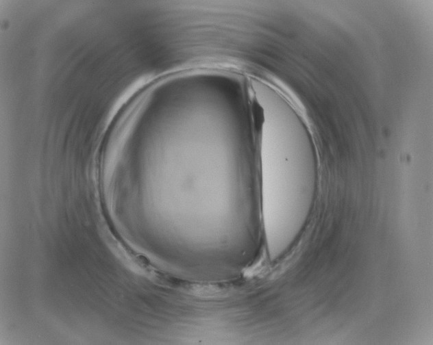 X0000083040907200702231926